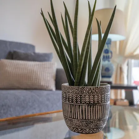 Apartamento Escadinhas *